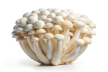 Shimeji Mushrooms, White Beech Mushrooms, Isolated, High-Resolution Product Photography, Food Photography, Culinary Images, White Background, Clipping Path