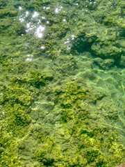 Glistening Water in the Summer Sun at Krka National Park, Croatia
