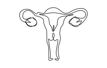 Continuous single one line drawing Uterus and ovaries, organs of female reproductive system and women's day conpect vector art illustration, Woman reproductive system, one line continuous. Line art