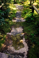 京都、紅葉、常照寺、寺院、文化財、木造建築、古代建築、日本文化、歷史名勝、古都京都の文化財、木、綠色、青空、秋、絶景、写真素材	
