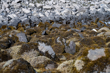 Moss-covered stones and gray rocky slope in natural mountain terrain