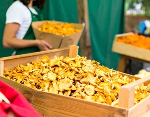 Dried mushrooms in wooden crate at market (1)