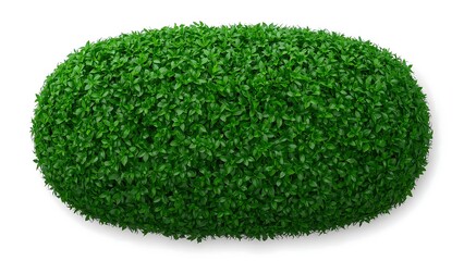 Lush Rounded Green Bush