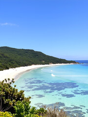 Obraz premium whitehaven midday beach