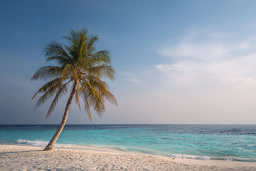 breathtaking landscape of maldives featuring lone palm tree standing gracefully on soft white sand of secluded