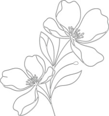 Black Line Floral Drawing on White Background - Vector Illustration