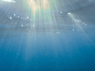 The sun shines through water, casting mottled light and shadow, intertwined with countless bubbles underwater, like a dance of light. Various aquatic, fish swimming in water in Mediterranean sea.