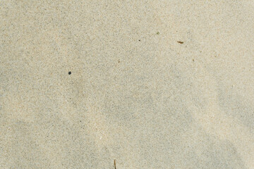 Beautiful close-up of white sand from Pandawa Beach, Bali. Perfect for backgrounds and tropical vacation themes