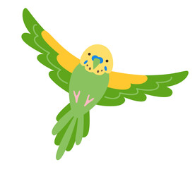 Parrot tropical cartoon illustration. Exotic bright budgerigar green parrot childish trendy art for kids, sticker card, poster cover. Wildlife jungle Hawaiian cute bird funny vivid vector character