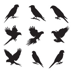 A set of 9 black silhouette illustrations of Parrot birds white background.