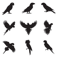 A set of 9 black silhouette illustrations of Parrot birds white background.