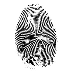 Vector Detailed fingerprint with swirling ridges