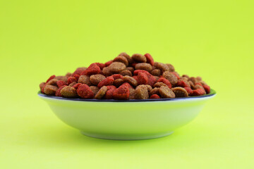 Bowl with dry cat food