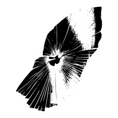 Obraz premium Vector Abstract moth with radiating wing .