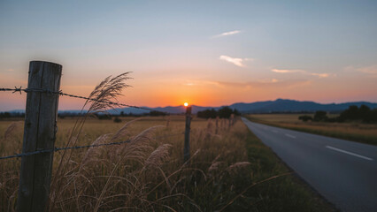 Fototapeta premium A quiet sunlit country road with an old wooden fence and rolling hills in the distance.