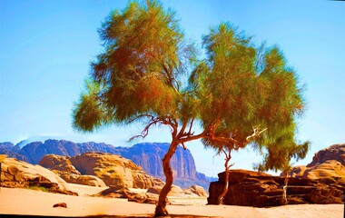Panoramic view of Wadi Rum mountains showing geological and biodiversity richness