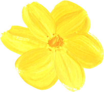 Bright acrylic flower painting with yellow and purple petals on white background. Artistic brush strokes give an expressive and modern look. Colorful and creative floral abstract design.