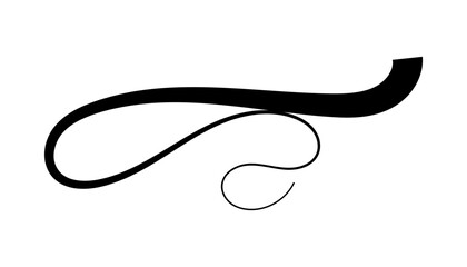 Decorative Flourish  Elegant Vector Illustration