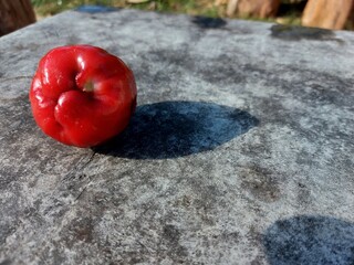 red water apple fruit from Indonesia