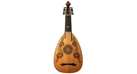 elegant lute intricate detail rich tone musical inspiration
