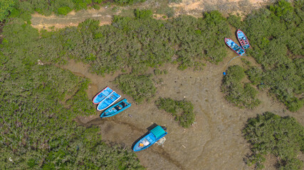 View of Fishing Boats Resting in Lush Green Mangrove Forest