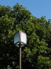 Street lamp on city street at night