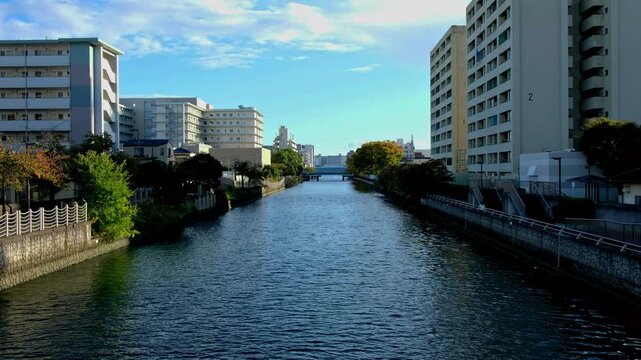 日本、大阪府、大阪市、淀川、 城市、近畿地方、風景、橋、木、綠色、青空	
