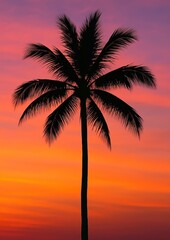 Obraz premium Vibrant tropical sunset silhouette palm