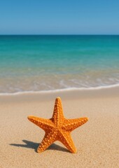 Starfish on serene sandy beach.