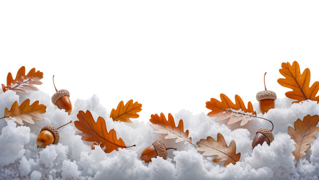 Fallen oak leaves and acorns on fluffy snow pile, autumn and winter seasonal transition, realistic texture, transparent background, isolated bottom border for festive design use - Powered by Adobe