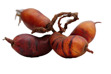 Close-up of four clustered, mottled fruits