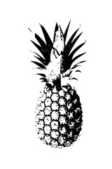 Obraz premium Vector Bold pineapple with textured details.