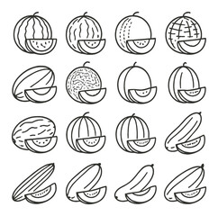 Diverse melon illustrations: watermelon, cantaloupe, honeydew, sketches