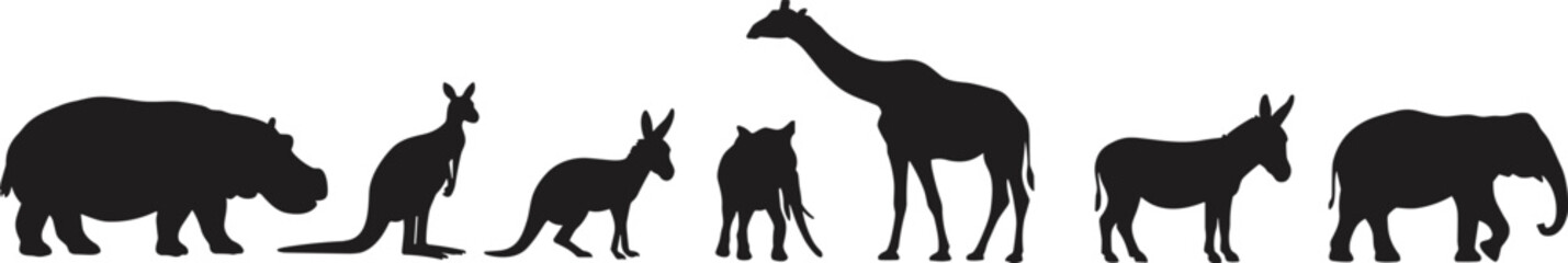 Silhouettes of wild animals, kangaroo, elephant, giraffe, donkey, hippo, lined up, black vector, wildlife collection illustration