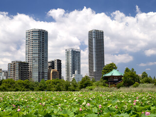 上野不忍池と弁天堂　東京都
