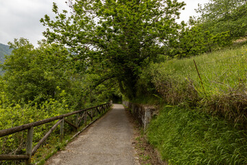 Naklejka premium Pedestrian and bicycle path in the middle of a mountain forest.