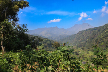 A peaceful landscape with vibrant green trees, rolling hills, and a sky brushed with light clouds.
