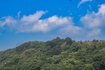 Deep greens and the horizons — trees, hills, and a sky of soft blue and whispering clouds.