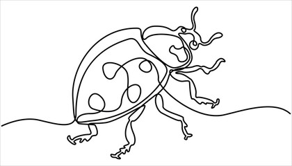 continuous one line ladybug illustration, Bug one line continuous. ladybug drawing one continuous line sketch, isolated, vector. Continuous one line art drawing. Floral and fauna vector illustration.