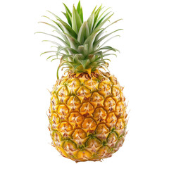 Single pineapple, bright yellow/gold skin, vibrant green leaves