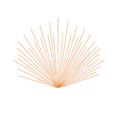 Burnt Sienna Rays Outward Explosion on White Background, Linear Design Element