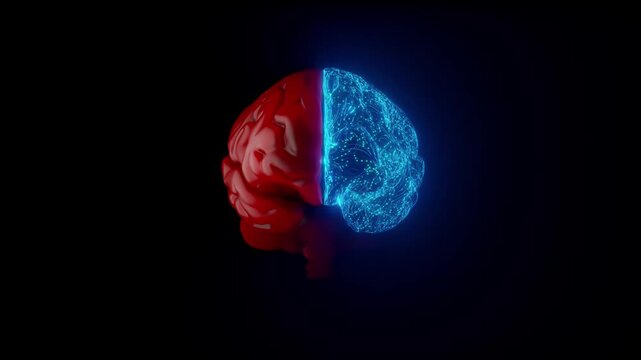 Brain is red. Left brain neuron connections is active and changes colors. Futuristic medical technology concept. Animation seamless loop. 3D Render.
