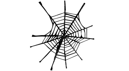 Vector Intricate black spiderweb with radiating lines.