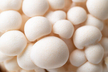 Fresh white Shimeji mushroom texture background, Asian edible mushroom, Food ingredients