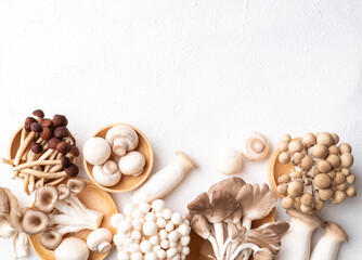 Top view of fresh mushrooms (Champignon, Yanagi, Shimeji, Oyster and Eryngii mushroom) on white background. Asian edible mushroom, Food ingredients