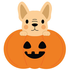 French Bulldog Puppy in Halloween Pumpkin Illustration