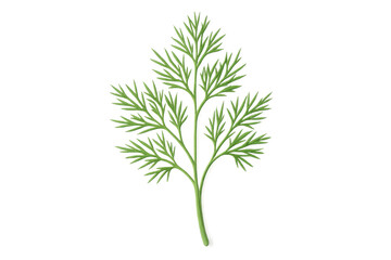 Naklejka premium Realistic dill sprig illustration, isolated on transparent background, enhancing culinary designs with fresh, vibrant herb presentation