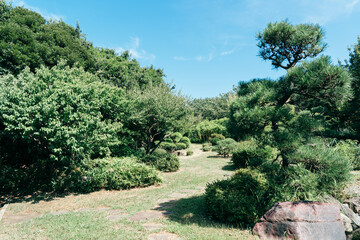 japan garden