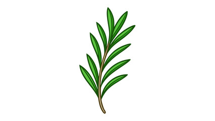 Fototapeta premium Sprig of Rosemary Green Leaves Brown Stem Illustration