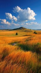 Fototapeta premium Golden field under a vibrant sky